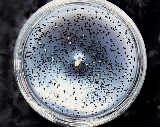 Close-up of Simply the Best candle top with glitter and wick
